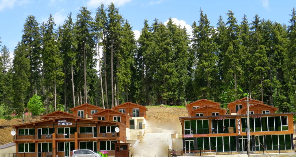 Chalet Kokhta Bakuriani Exterior foto